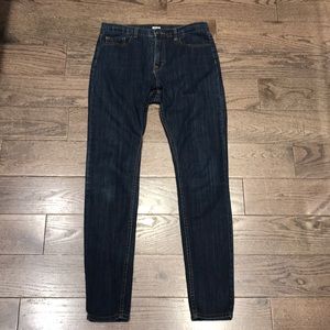 BDG High Rise Twig Skinny Jean - Long